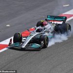 Lewis Hamilton insists Mercedes have 'got a lot of problems' and fears they might not be able to challenge for victories for the first FOUR races, with both Red Bull and Ferrari looking quick ahead of the season opener in Bahrain