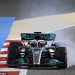 Mercedes boss Toto Wolff likens the decision to stick Lewis Hamilton and George Russell on hard tyres to 'putting the hand in the TOILET'... as he insists it was a 'lesson learned' after they salvaged a podium in Bahrain