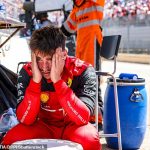 'I feel sorry for him': Max Verstappen extends his sympathy to distraught Charles Leclerc after the Ferrari driver crashed out of the French Grand Prix and allowed the Red Bull world champion to cruise to victory