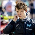 Nyck de Vries confirms he's held talks with Red Bull chief Helmut Marko over his F1 future after impressing on his debut at Italian GP... but the Dutchman admits he 'does not know if he has the luxury' to choose his next team