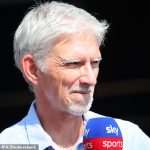 'Where's the pace gone?': Damon Hill claims Formula One teams will have 'big question mark' over Daniel Ricciardo's speed as Australian searches for a 2023 seat after his brutal McLaren axing